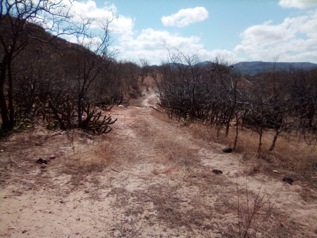 notas-subjetivas-e-encantadas-de-uma-viagem-para-o-serid_50674706653_o