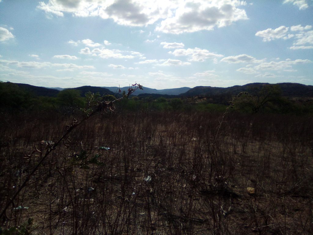 notas-subjetivas-e-encantadas-de-uma-viagem-para-o-serid_50674711123_o