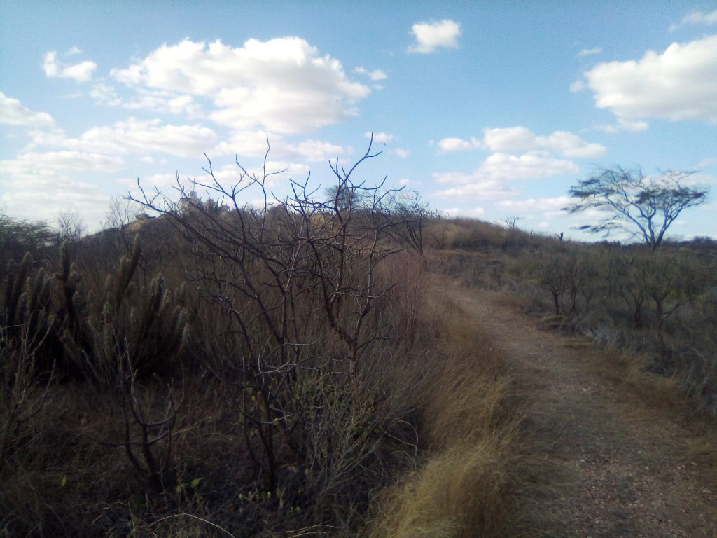notas-subjetivas-e-encantadas-de-uma-viagem-para-o-serid_50674711268_o