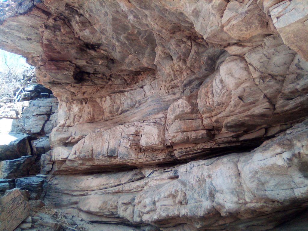 notas-subjetivas-e-encantadas-de-uma-viagem-para-o-serid_50675459181_o