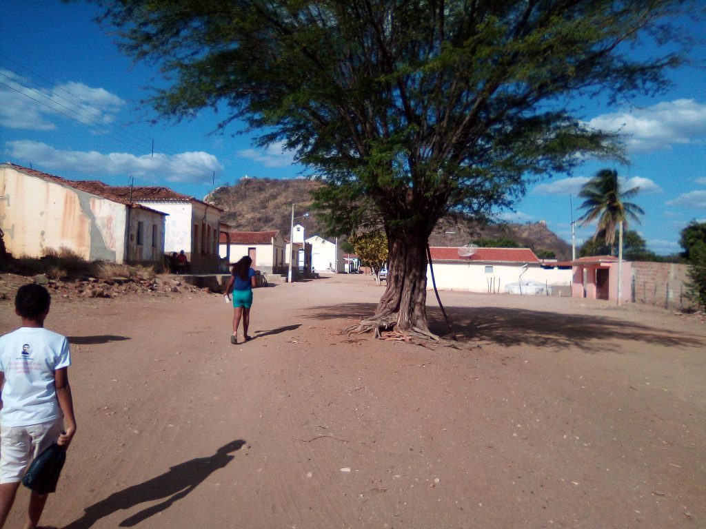 notas-subjetivas-e-encantadas-de-uma-viagem-para-o-serid_50675460081_o