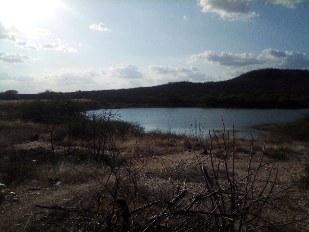 notas-subjetivas-e-encantadas-de-uma-viagem-para-o-serid_50675538172_o